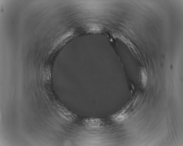 X0000087040517200705091114