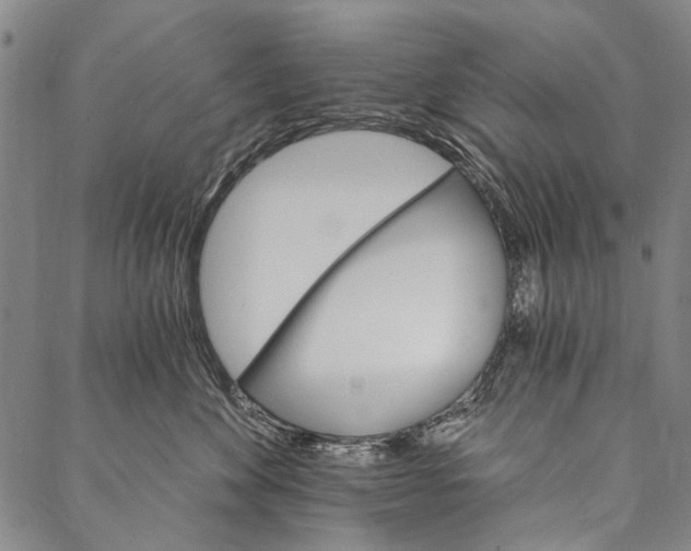 X0000087040524200705091114