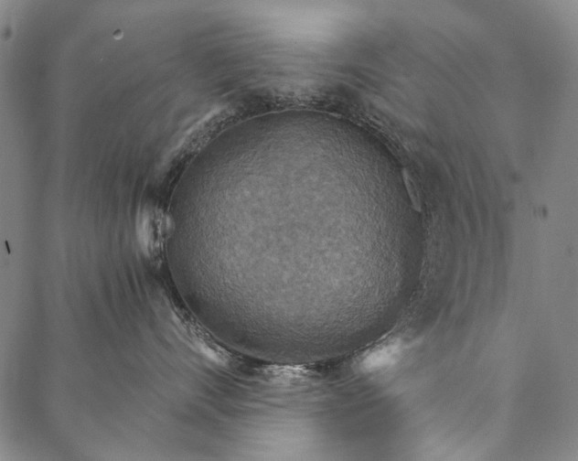 X0000087040528200705091114