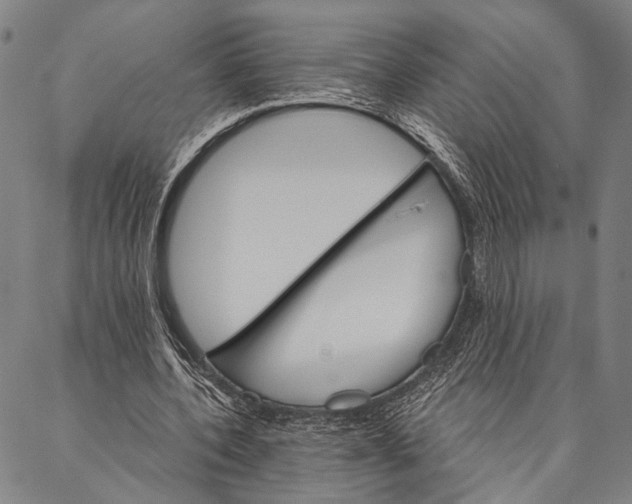 X0000087040532200705091113