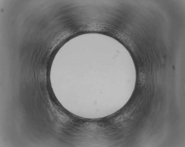 X0000087040534200705091113