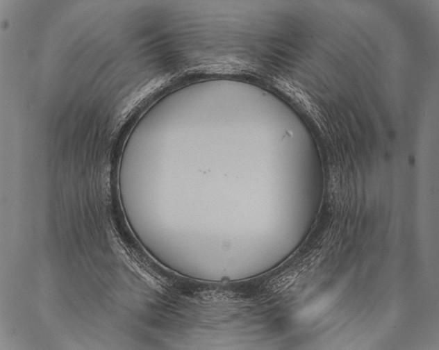 X0000087040535200705091113