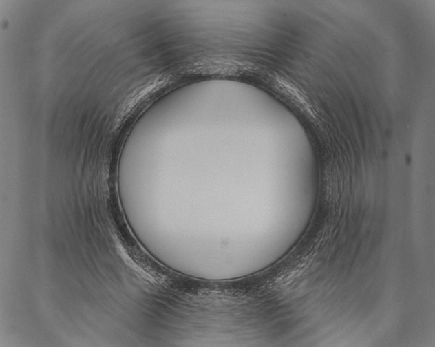 X0000087040538200705091113