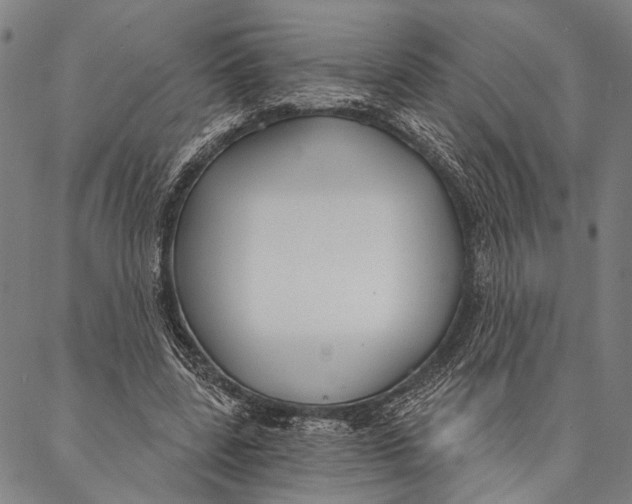 X0000087040539200705091113