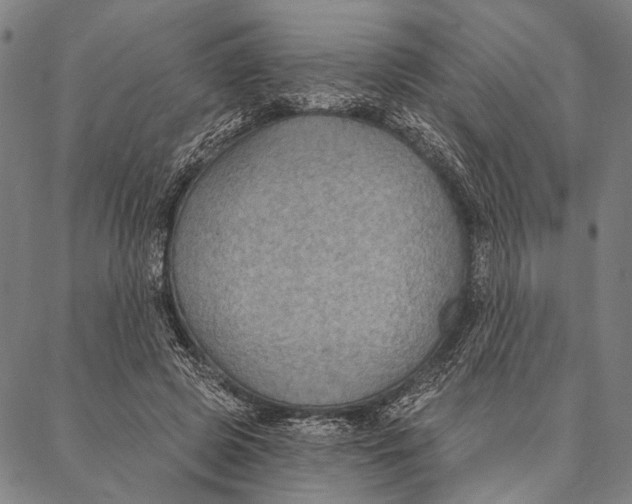 X0000087040545200705091113