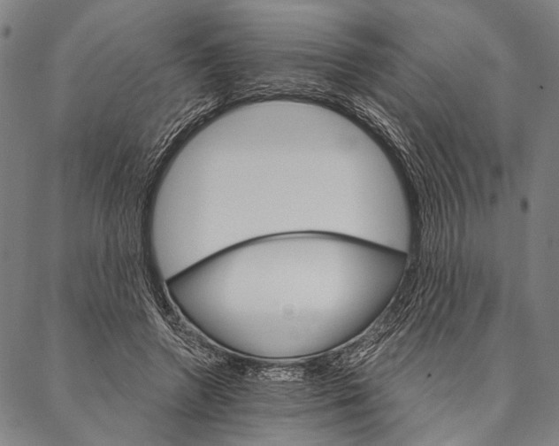 X0000087040546200705091113