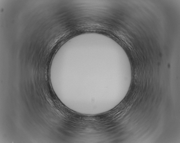 X0000087040547200705091113