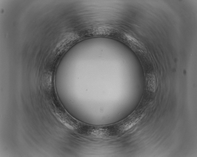 X0000087040550200705091113