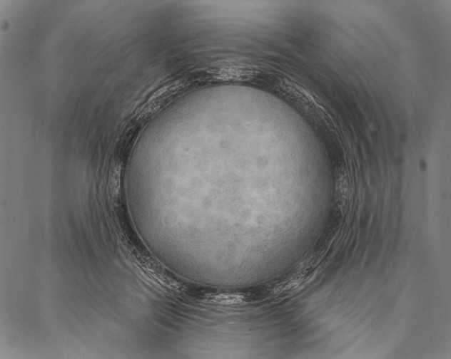 X0000087040554200705091113