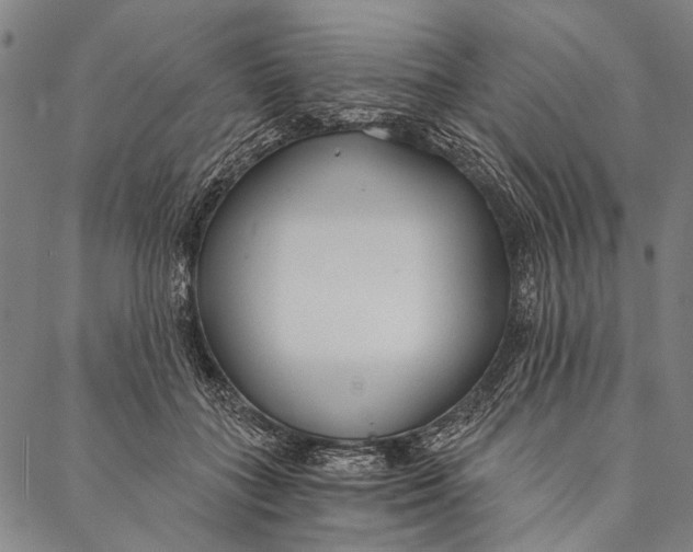 X0000087040555200705091113