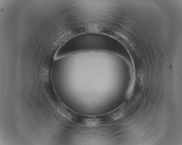X0000087040556200705091113