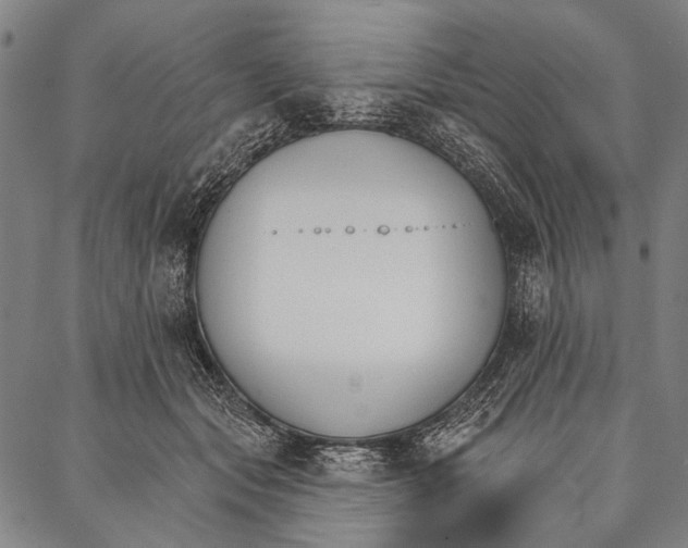 X0000087040557200705091113