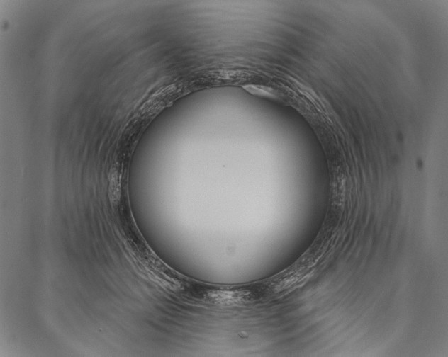 X0000087040558200705091113