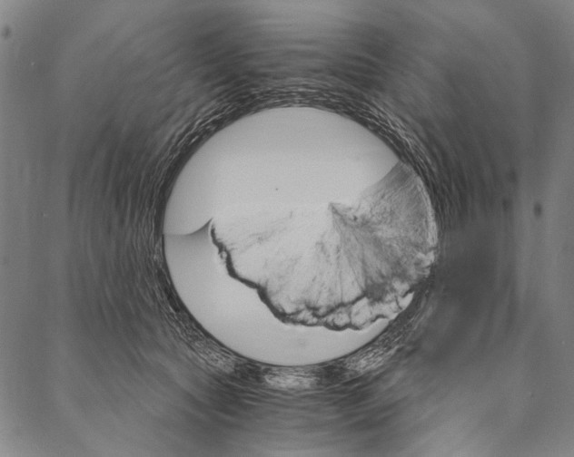 X0000087040561200705091113