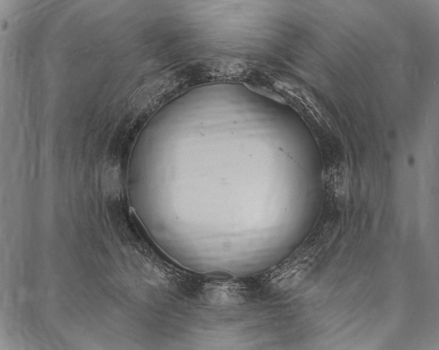 X0000087040564200705091113