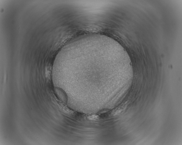X0000087040576200705091114