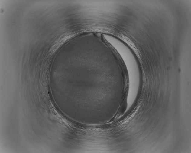 X0000087040577200705091113
