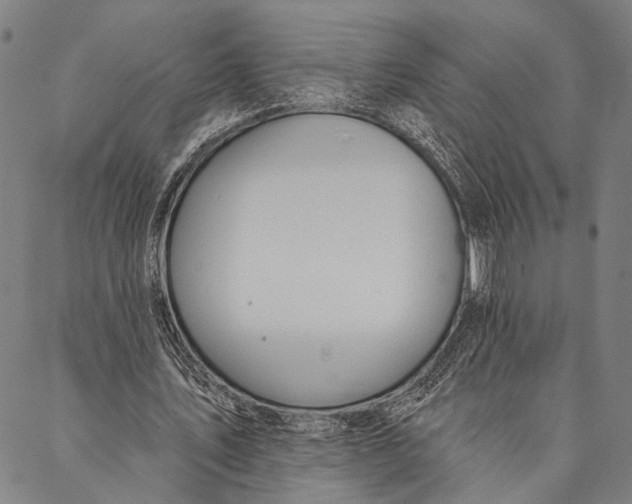 X0000087040579200705091113