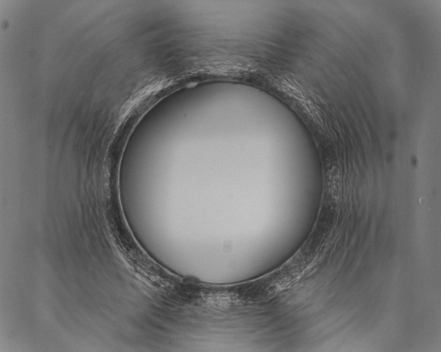 X0000087040587200705091113