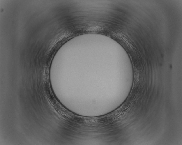 X0000087040591200705091113
