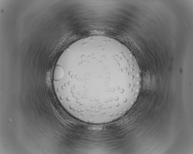 X0000087040598200705091113