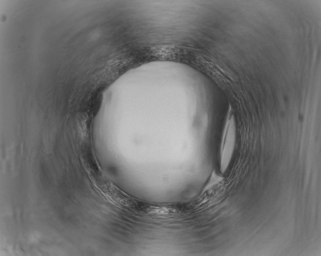 X0000087040611200705091112