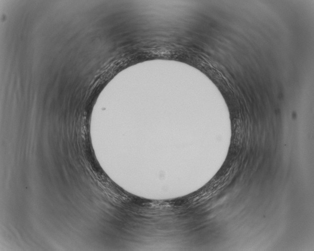 X0000087040612200705091112