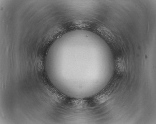 X0000087040615200705091112