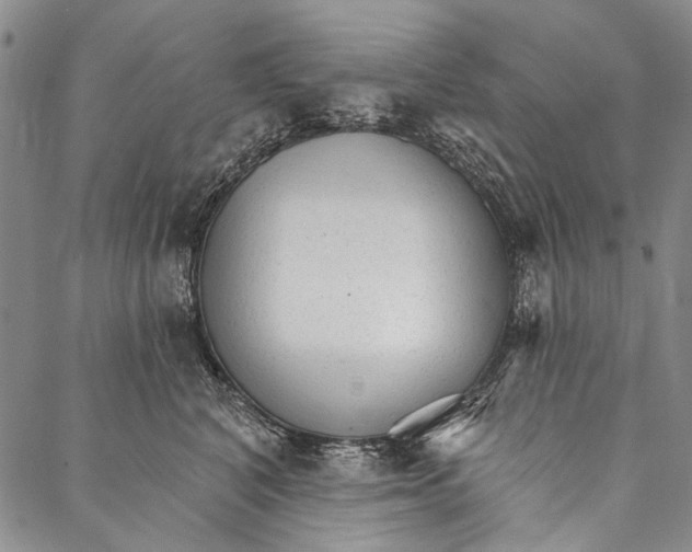 X0000087040616200705091112