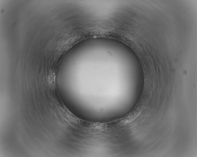 X0000087040624200705091112