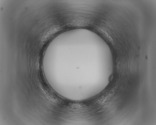 X0000087040635200705091112