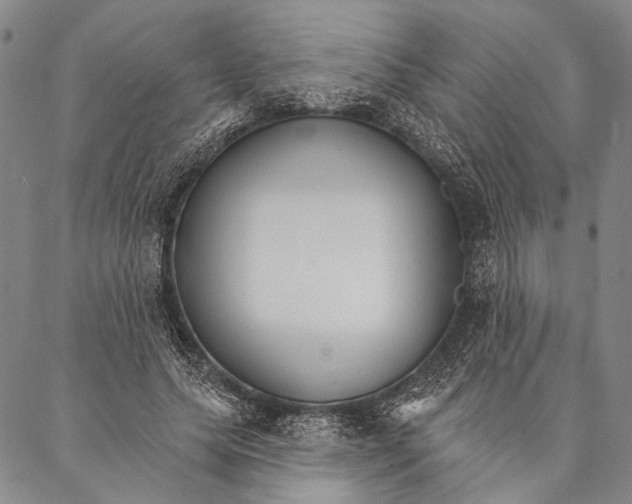 X0000087040639200705091112