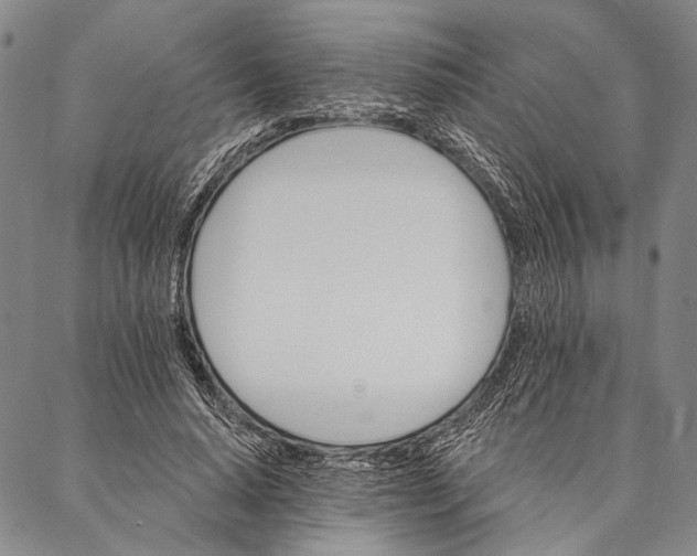 X0000087040640200705091112