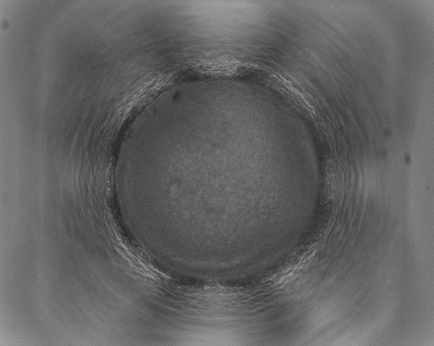X0000087040641200705091112