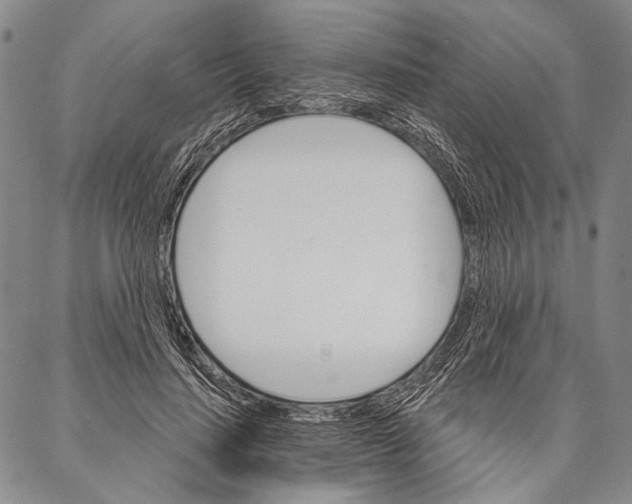 X0000087040644200705091112