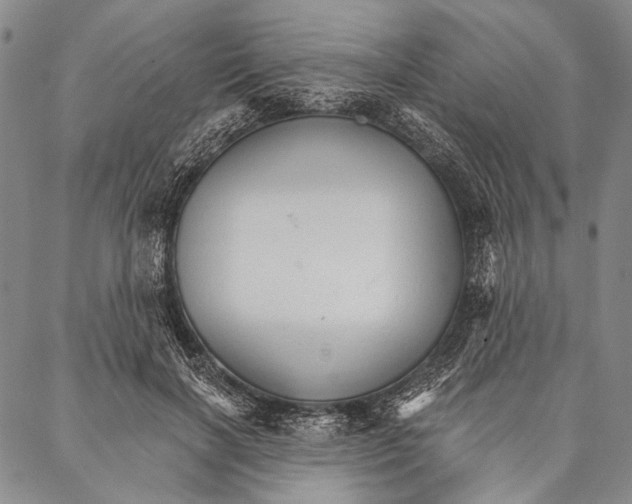 X0000087040646200705091112