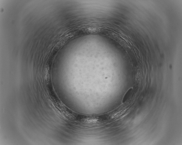 X0000087040651200705091112