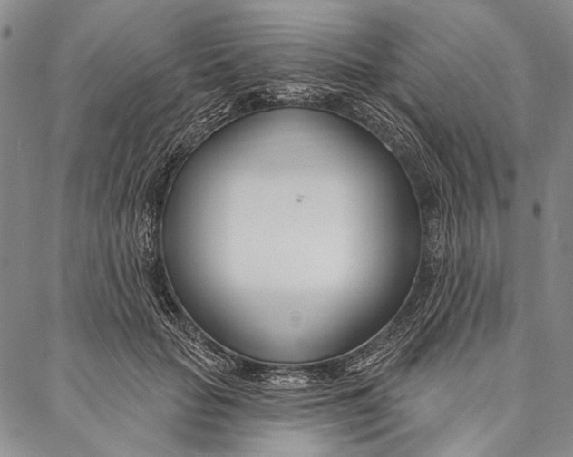 X0000087040653200705091112