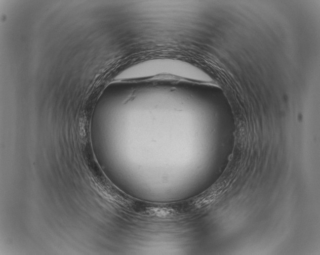 X0000087040654200705091112