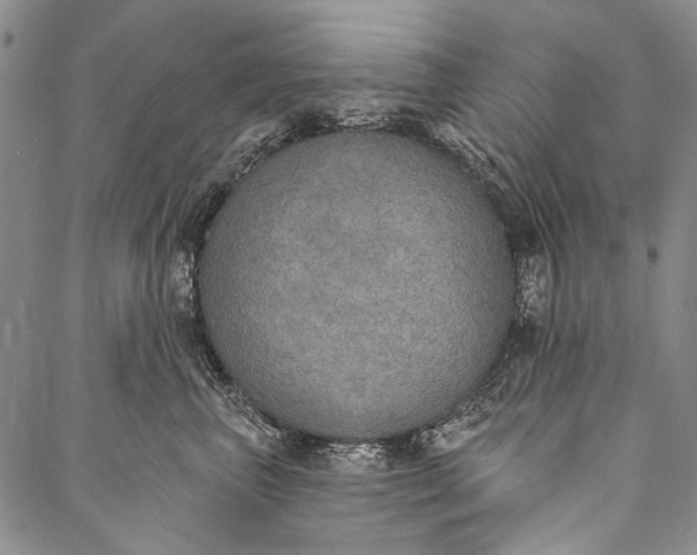 X0000087040667200705091112