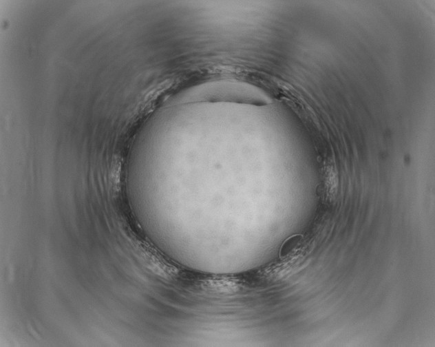 X0000087040668200705091112