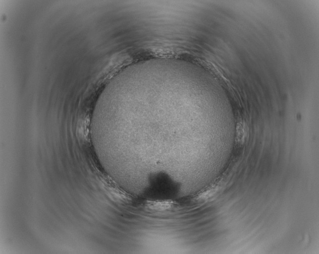 X0000087040671200705091112