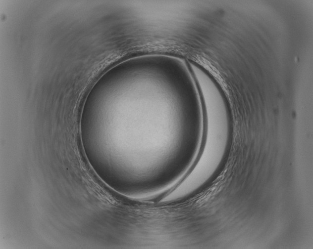 X0000087040673200705091111