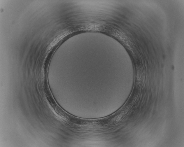X0000087040674200705091111