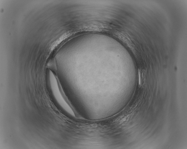 X0000087040675200705091111
