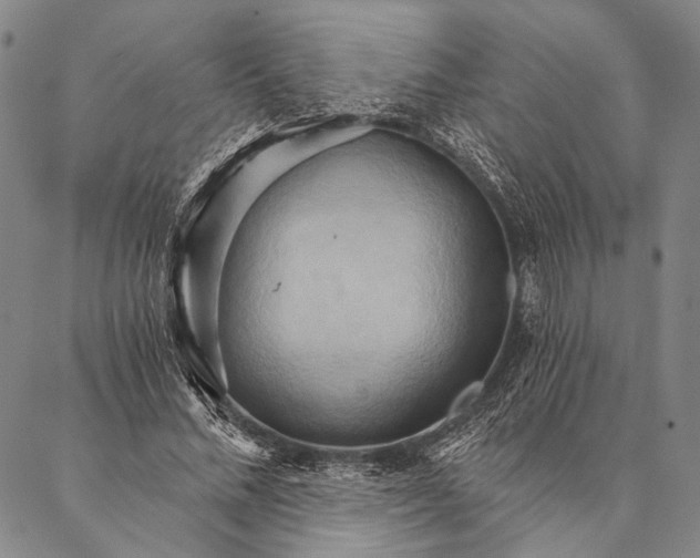 X0000087040684200705091111