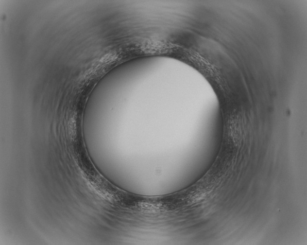 X0000087040690200705091111