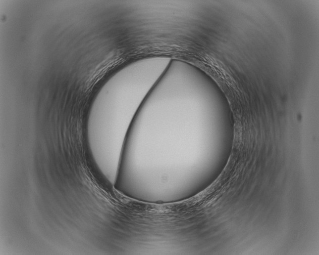 X0000087040696200705091111