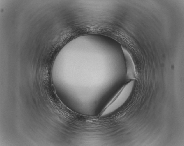 X0000087040700200705091111