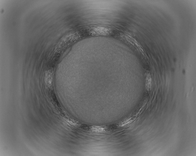X0000087040701200705091111